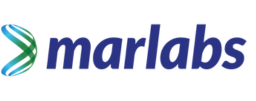 Marlabs logo for website.png